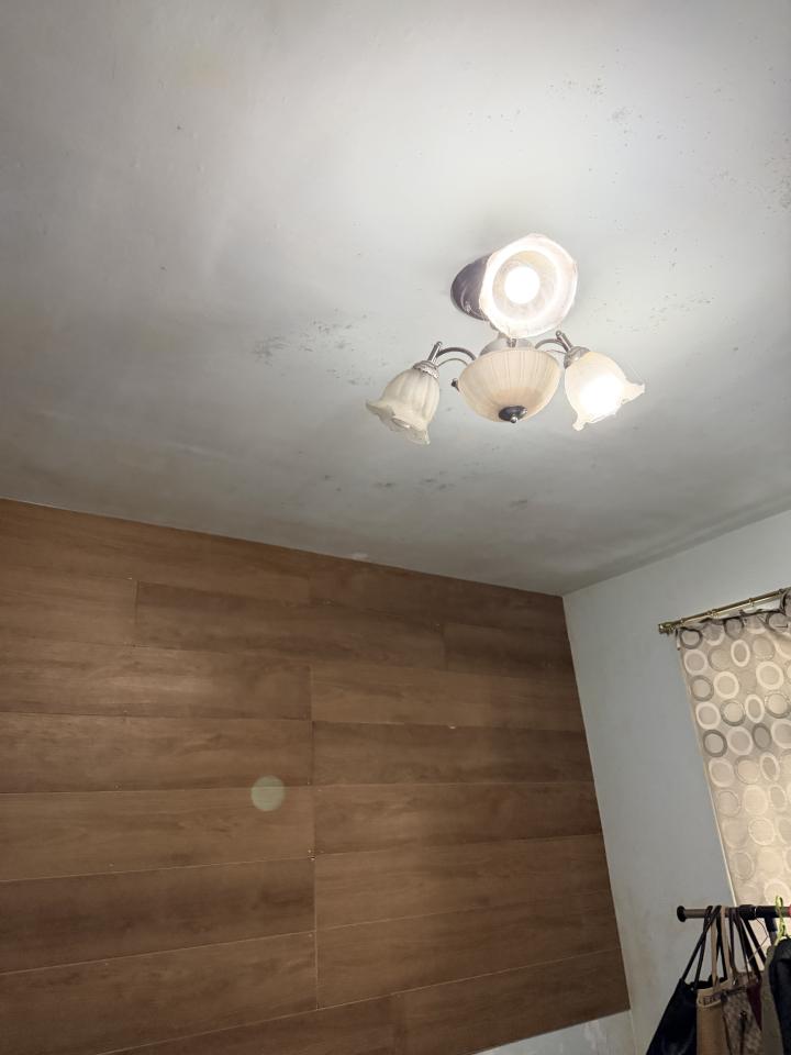 壁紙施工案件圖片