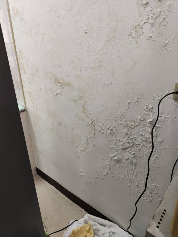 油漆工程案件圖片