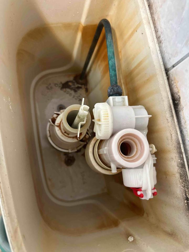 馬桶裝修案件圖片