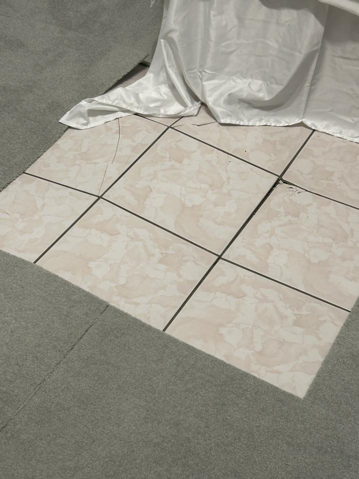 磁磚修補案件圖片