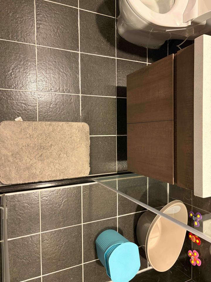 矽利康工程案件圖片