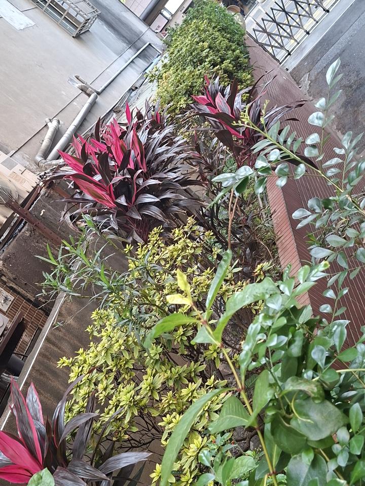 泥作/水泥施工案件圖片