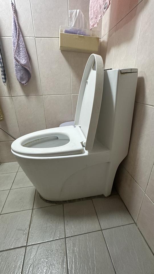 馬桶裝修案件圖片