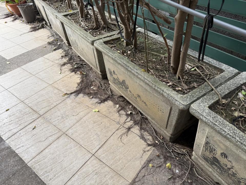 大型垃圾回收案件圖片