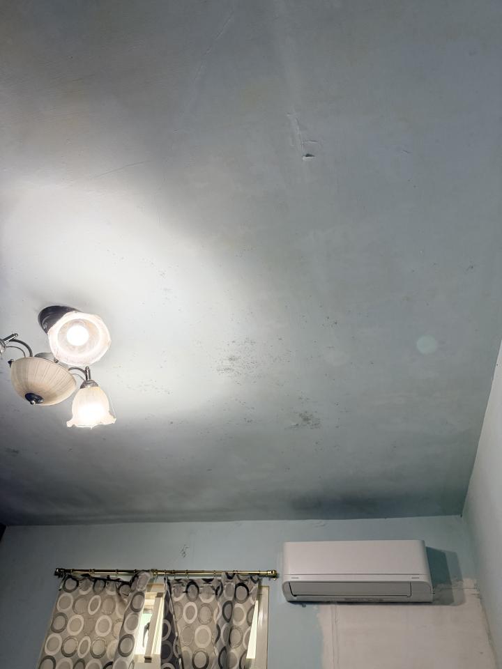 壁紙施工案件圖片