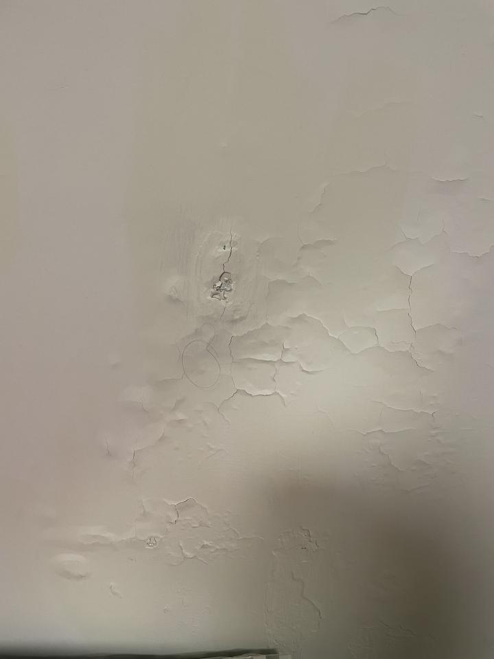 油漆工程案件圖片