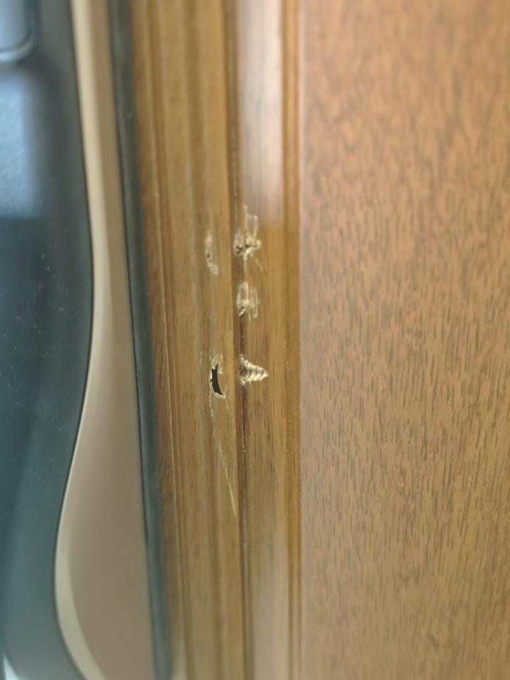 門片維修案件圖片