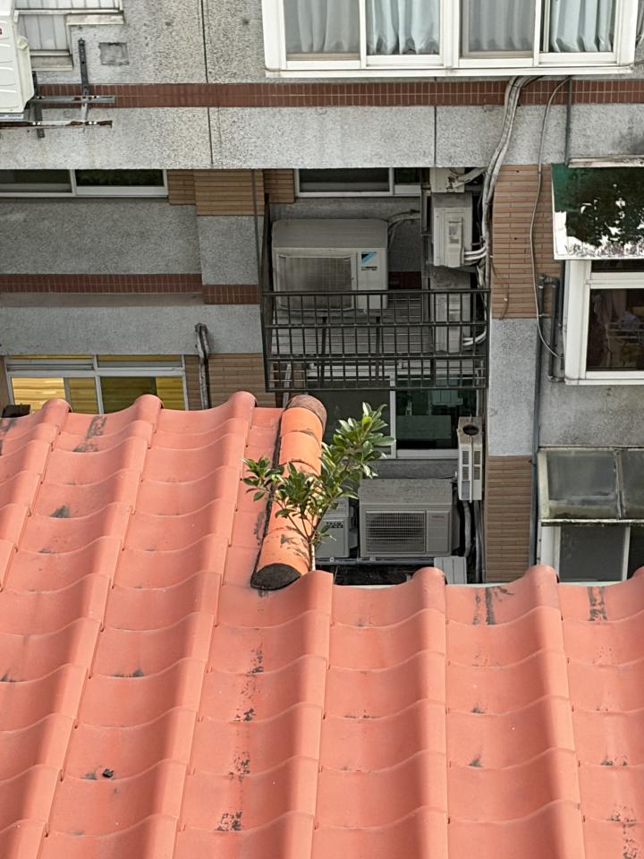 園藝維護案件圖片