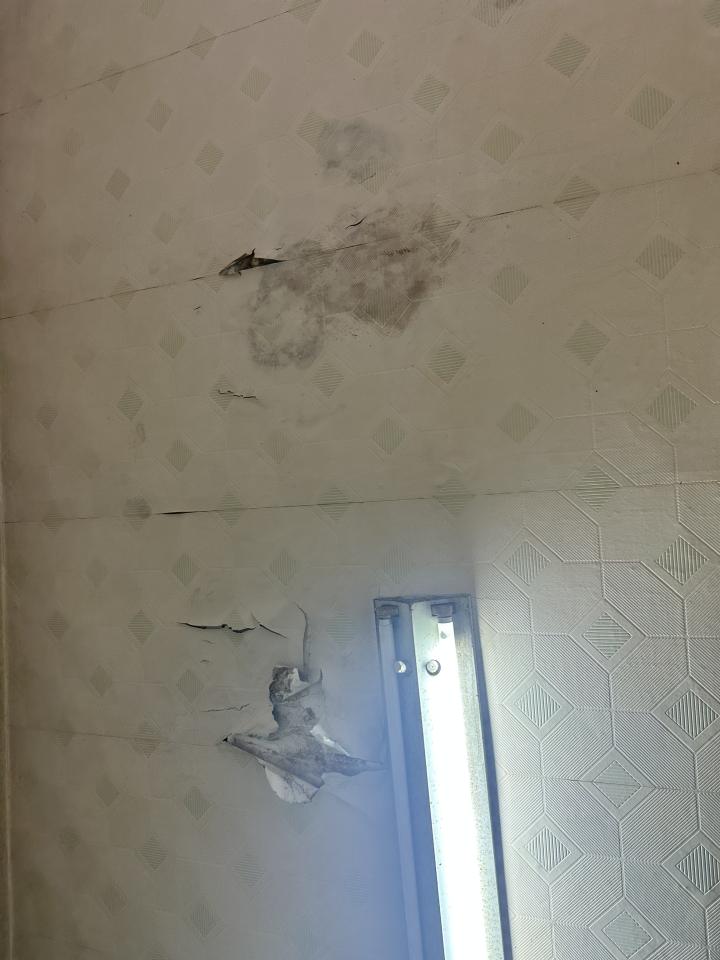 油漆工程案件圖片