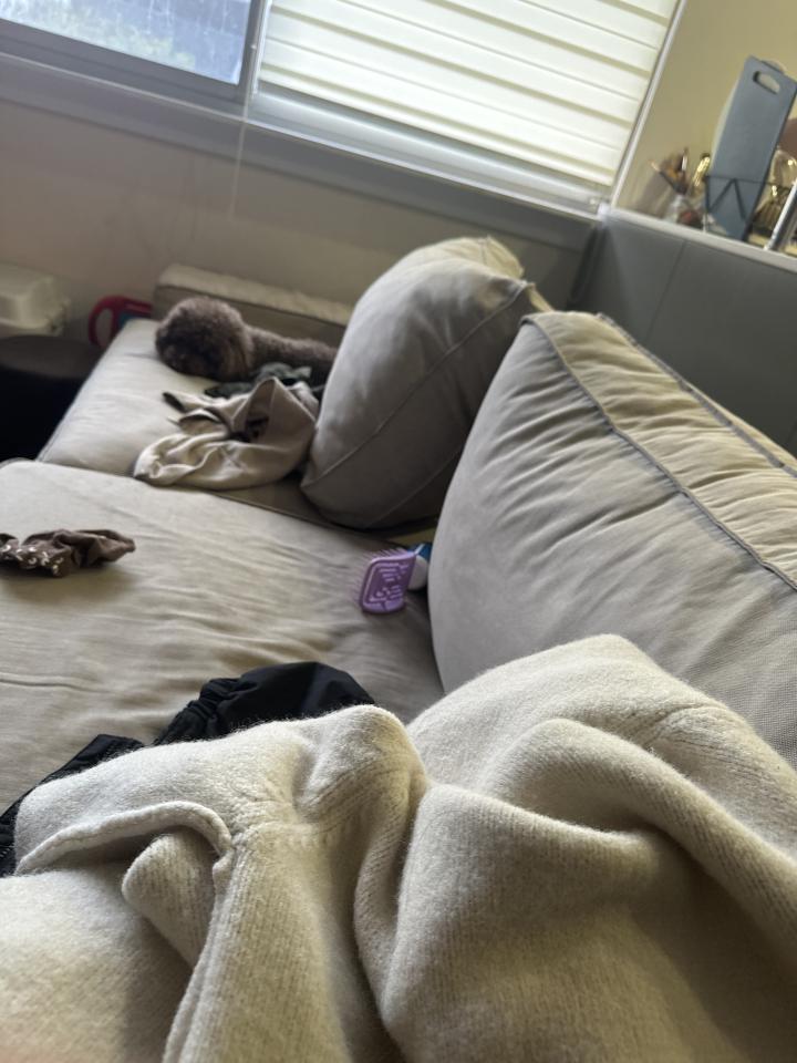 沙發清潔案件圖片