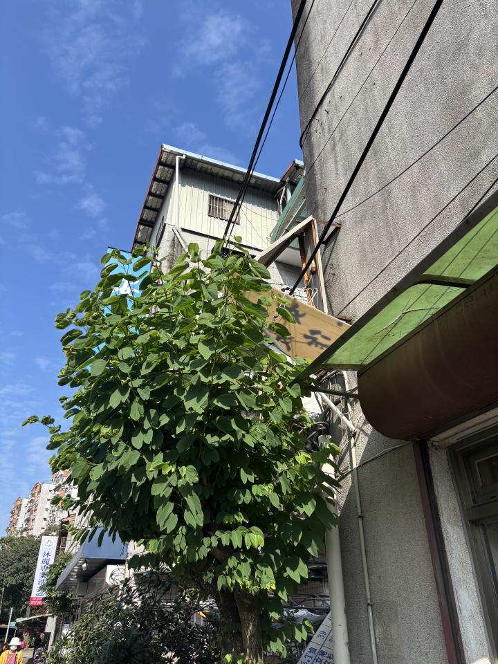 拆除工程案件圖片