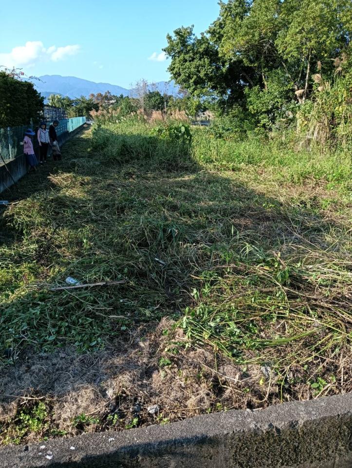 園藝維護案件圖片