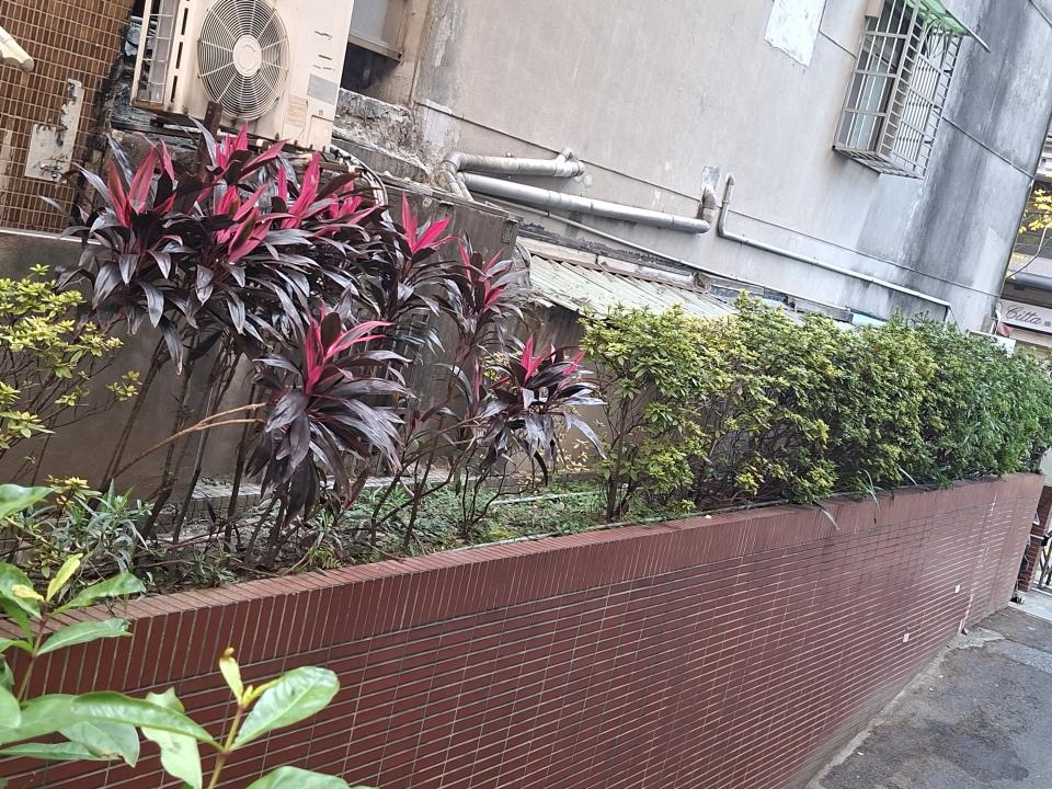 泥作/水泥施工案件圖片