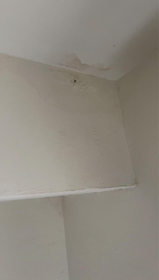 漏水處理案件圖片