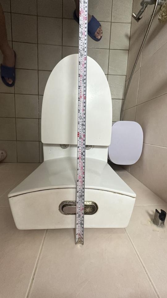 馬桶裝修案件圖片