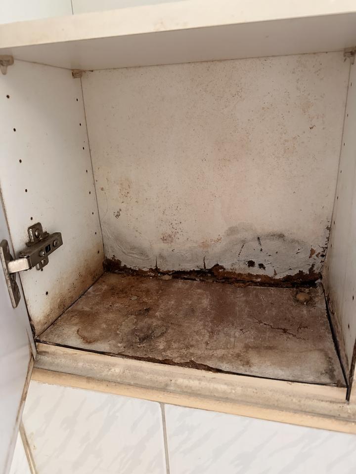 木工施工案件圖片