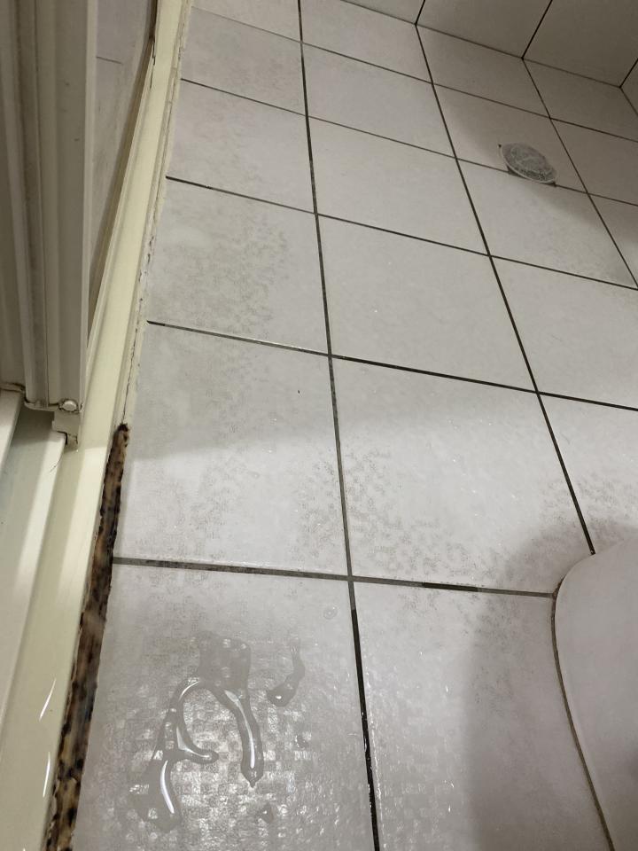 矽利康工程案件圖片