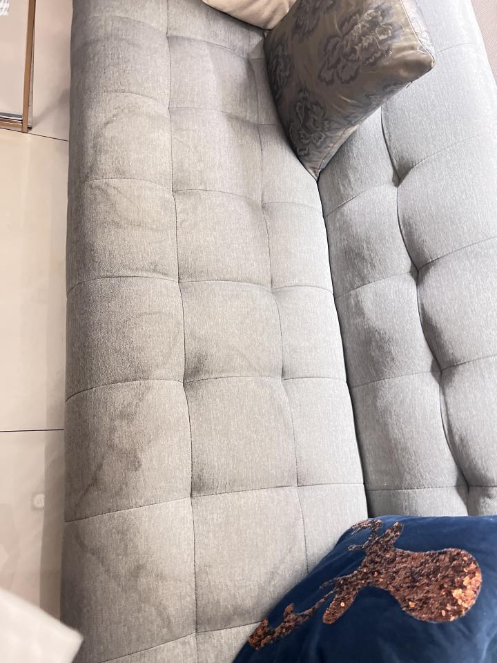 沙發清潔案件圖片