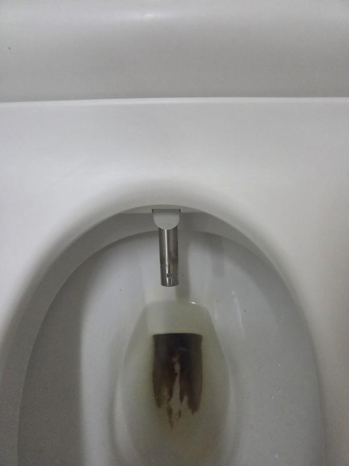 馬桶裝修案件圖片