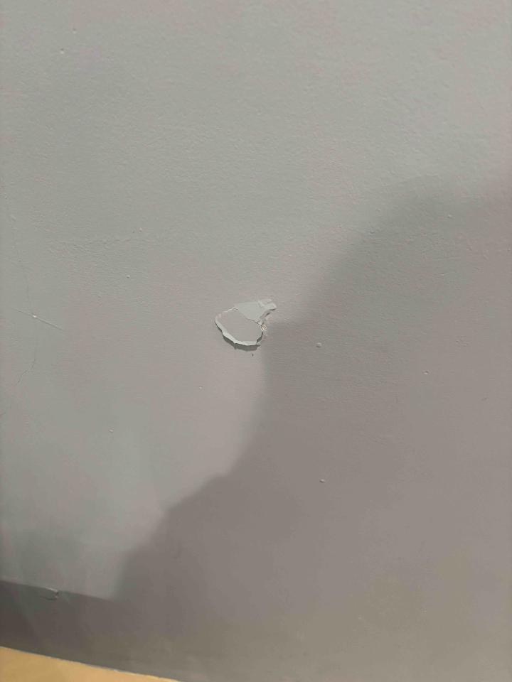 泥作/水泥施工案件圖片