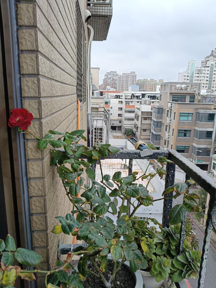 水龍頭裝修案件圖片