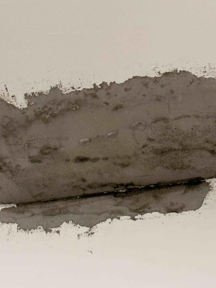 壁癌處理案件圖片