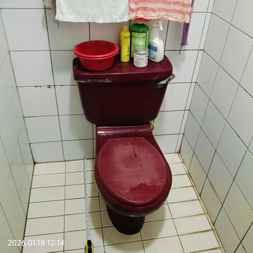 馬桶裝修案件圖片