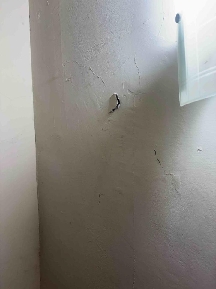 泥作/水泥施工案件圖片