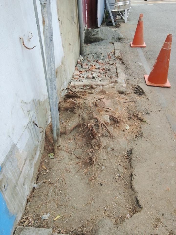 泥作/水泥施工案件圖片