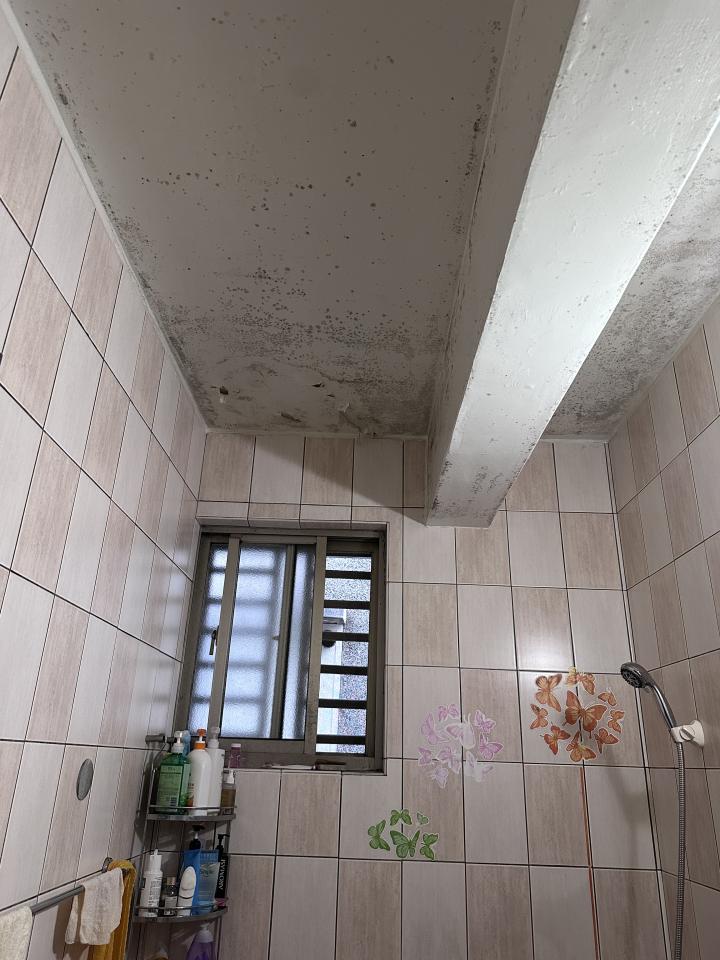 油漆工程案件圖片