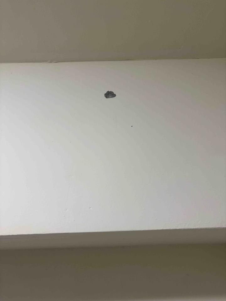 泥作/水泥施工案件圖片