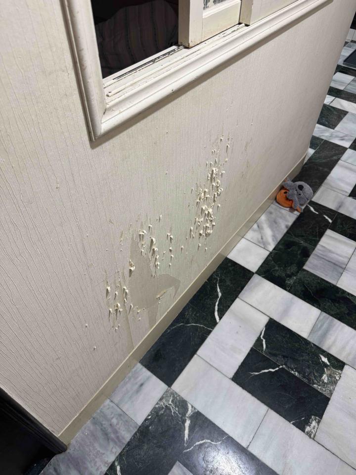 壁紙施工案件圖片