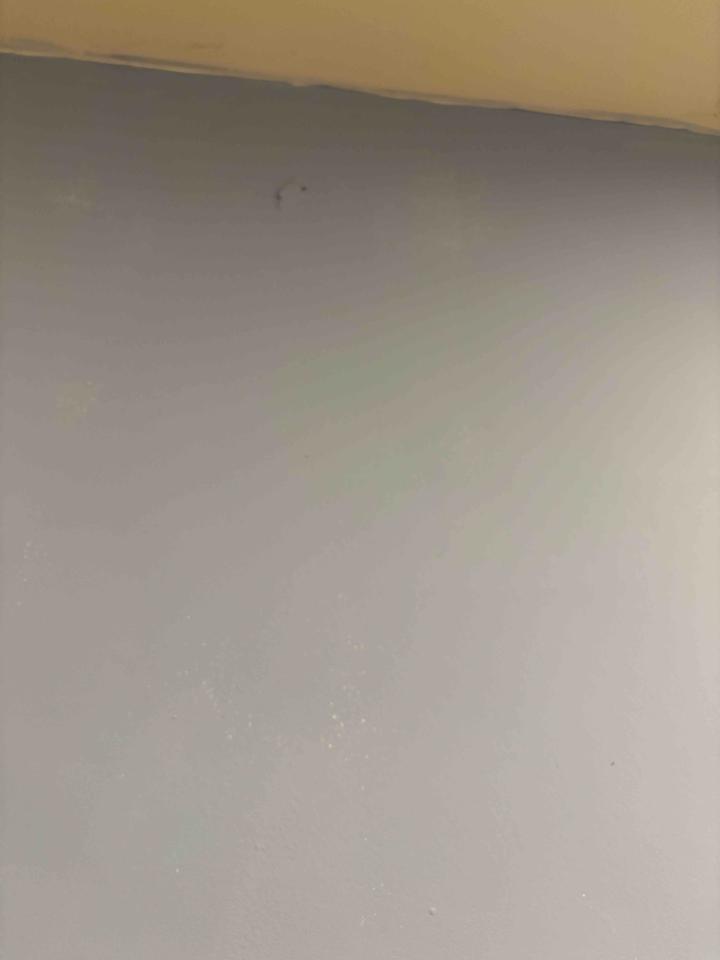 泥作/水泥施工案件圖片