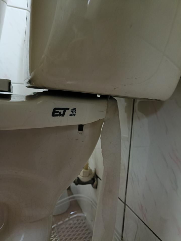 馬桶裝修案件圖片