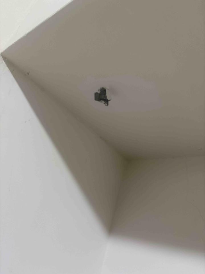 泥作/水泥施工案件圖片