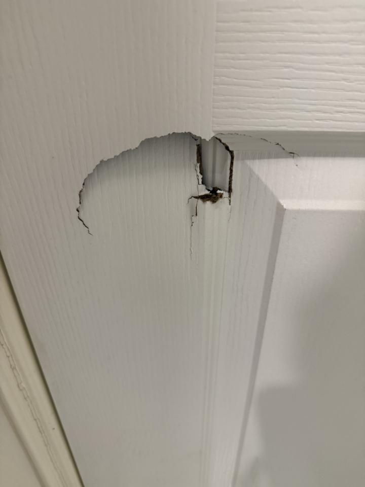 木工施工案件圖片