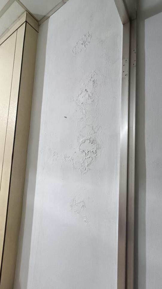 壁癌處理案件圖片