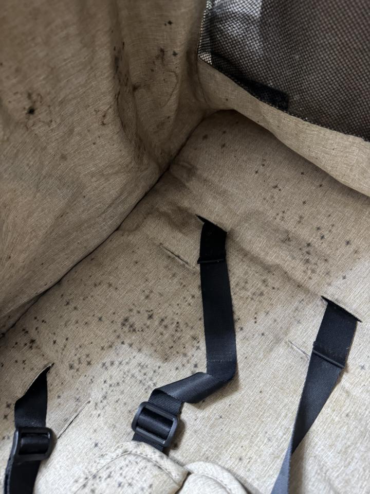 安全座椅清洗案件圖片