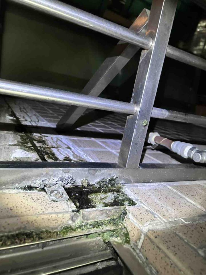 壁癌處理案件圖片