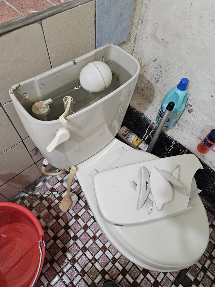 馬桶裝修案件圖片