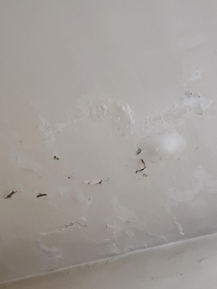 漏水處理案件圖片