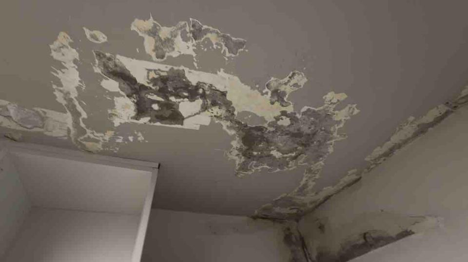 油漆工程案件圖片