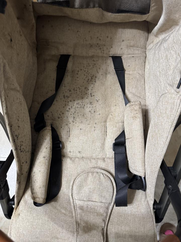 安全座椅清洗案件圖片