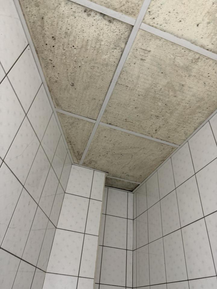 搬家清潔案件圖片