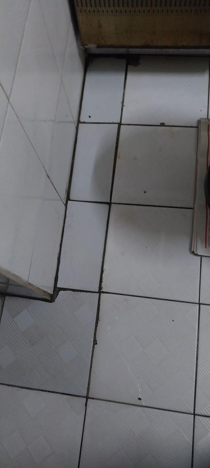 水管維修案件圖片