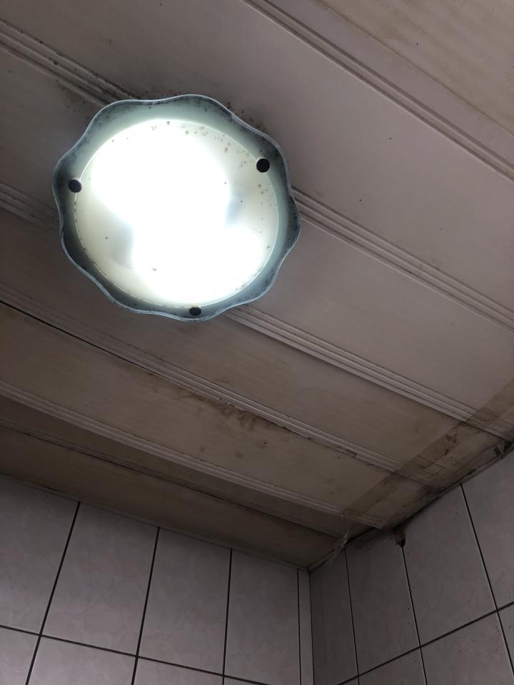 浴室翻新案件圖片