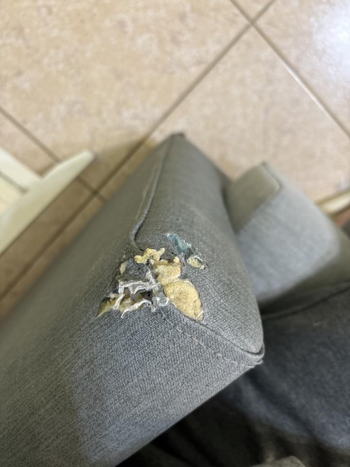 沙發修理案件圖片