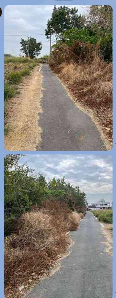 園藝維護案件圖片