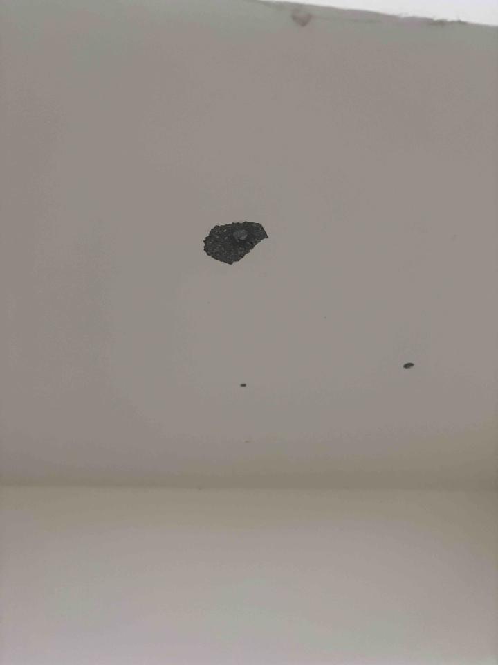 泥作/水泥施工案件圖片