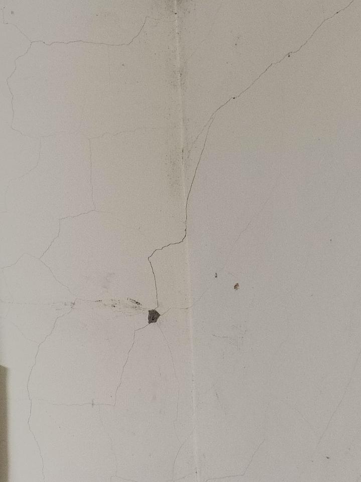 泥作/水泥施工案件圖片